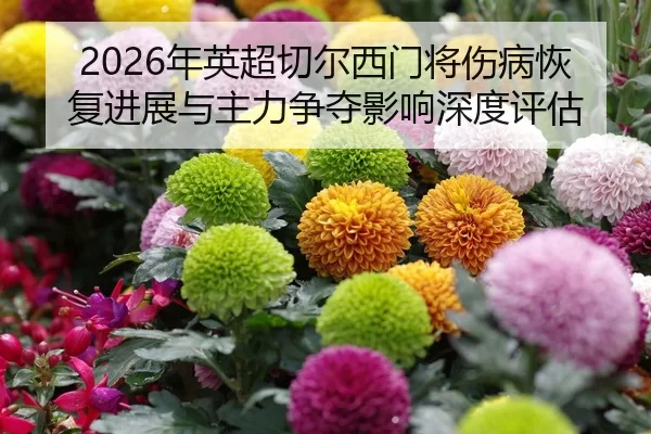 nian-ying-chao-qie-er-xi-men-jiang-shang-bing-hui-fu-jin-zhan-yu-zhu-li-zheng-duo-ying-xiang-shen-du-ping-gu-2-982.jpg
