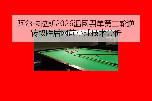 a-er-ka-la-si-wen-wang-nan-dan-di-er-lun-ni-zhuan-qu-sheng-hou-wang-qian-xiao-qiu-ji-shu-fen-xi-2-580.jpg